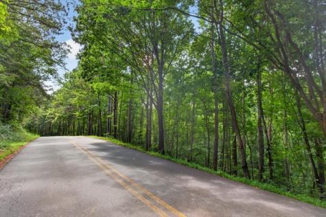 0 Lot 68 Ginger Drive Jasper GA 30143
