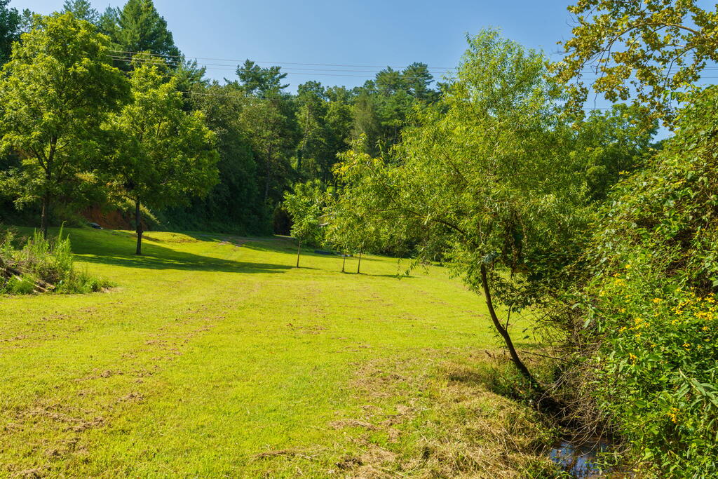 45 Green Cove Road Brasstown NC 28902