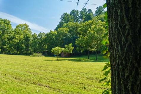 45 Green Cove Road Brasstown NC 28902