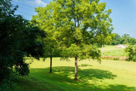 45 Green Cove Road Brasstown NC 28902