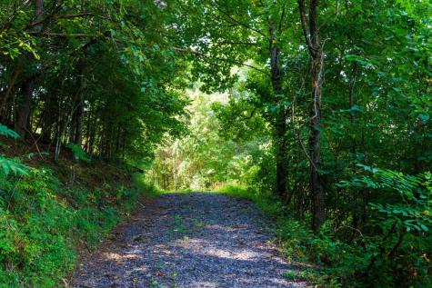 45 Green Cove Road Brasstown NC 28902