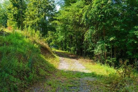 45 Green Cove Road Brasstown NC 28902