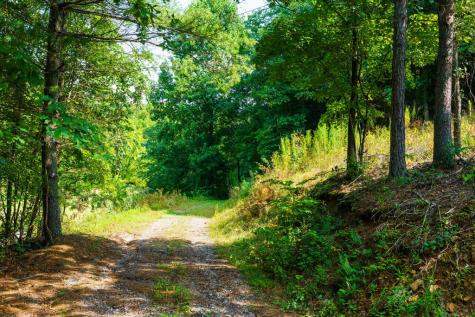 45 Green Cove Road Brasstown NC 28902