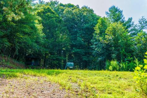 45 Green Cove Road Brasstown NC 28902