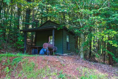 45 Green Cove Road Brasstown NC 28902