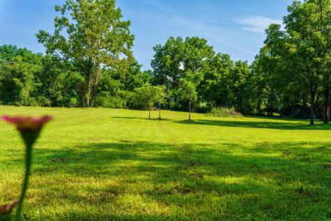 45 Green Cove Road Brasstown NC 28902