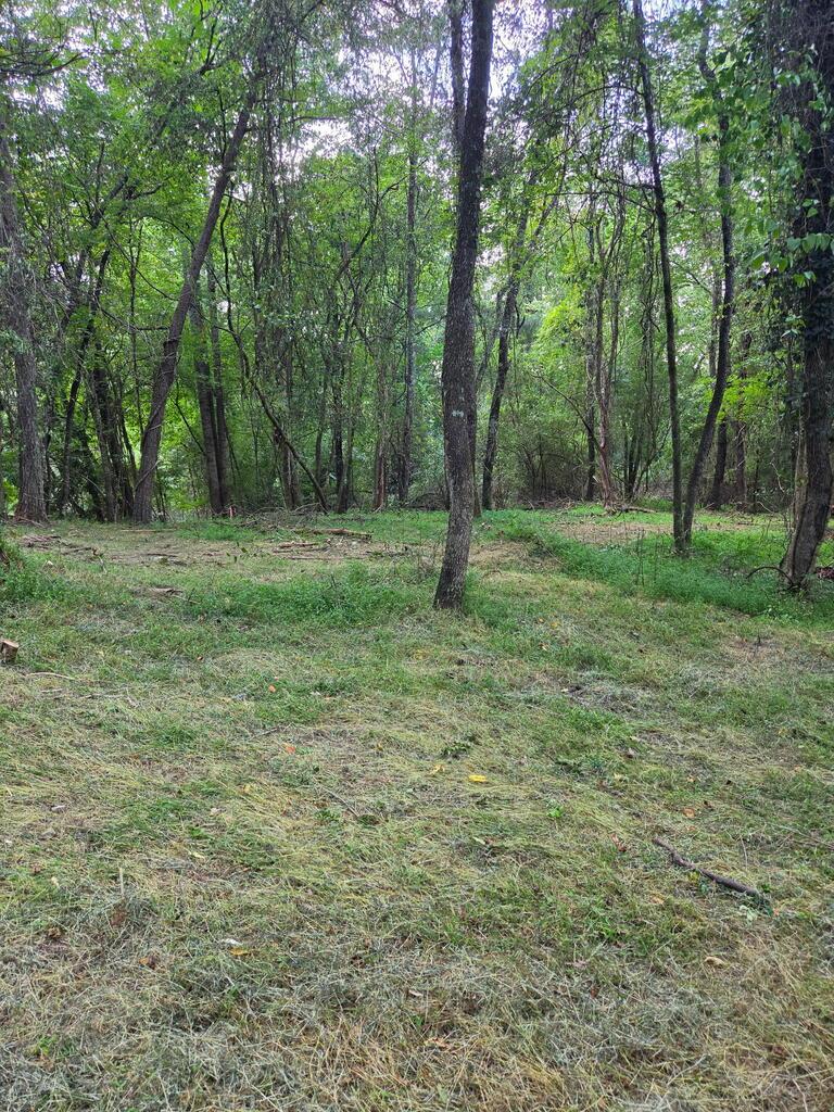 Lot 1 Thurman Street Mccaysville GA 30555