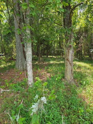 Lot 1 Thurman Street Mccaysville GA 30555