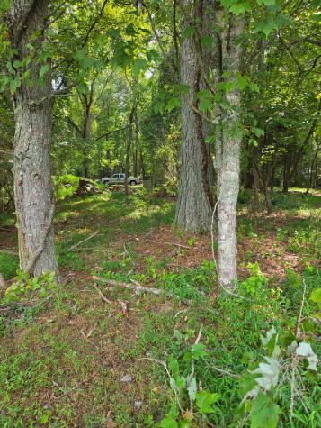 Lot 1 Thurman Street Mccaysville GA 30555