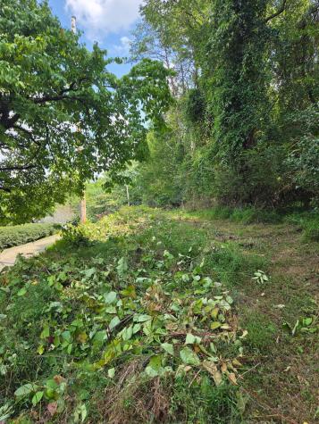 Lot 1 Thurman Street Mccaysville GA 30555