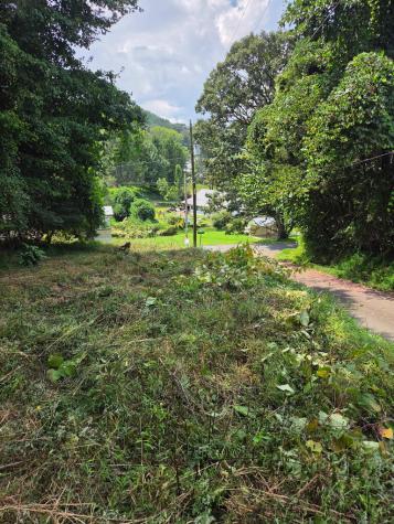 Lot 1 Thurman Street Mccaysville GA 30555