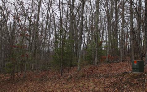 10 Thunder Road Hayesville NC 28904