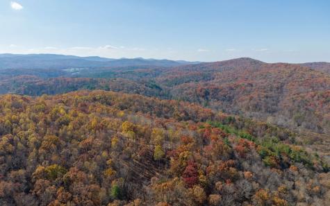 Lot 17r Tanager Trail Ellijay GA 30536