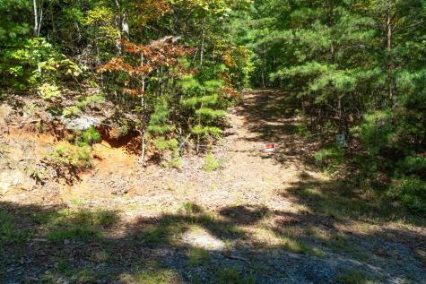 Lot 6/7 Raintree Bend Blue Ridge GA 30513
