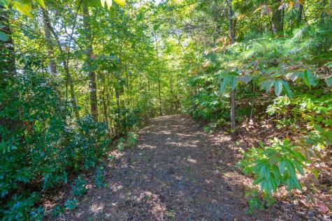 Lot 6/7 Raintree Bend Blue Ridge GA 30513