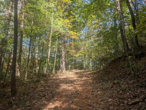 5.47 Ac Sierra Run Blairsville GA 30512