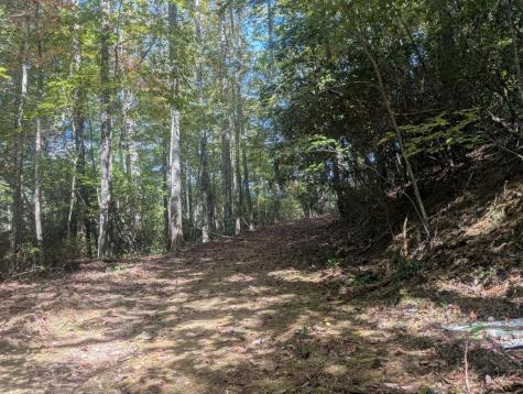 5.47 Ac Sierra Run Blairsville GA 30512
