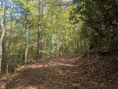 5.47 Ac Sierra Run Blairsville GA 30512