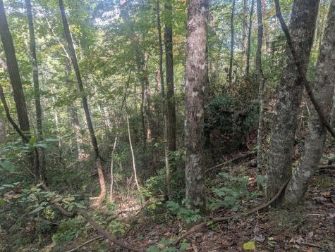 5.47 Ac Sierra Run Blairsville GA 30512