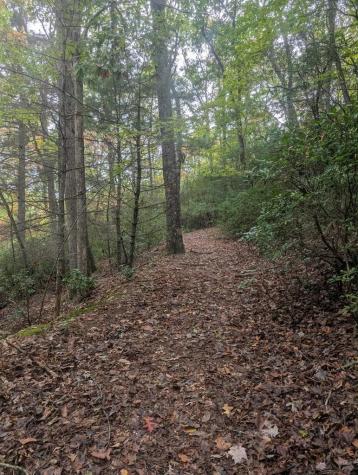 5.47 Ac Sierra Run Blairsville GA 30512