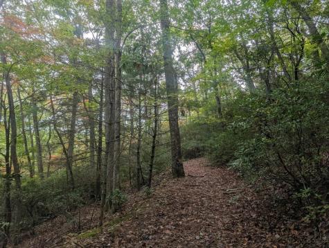 5.47 Ac Sierra Run Blairsville GA 30512