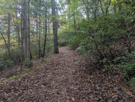 5.47 Ac Sierra Run Blairsville GA 30512