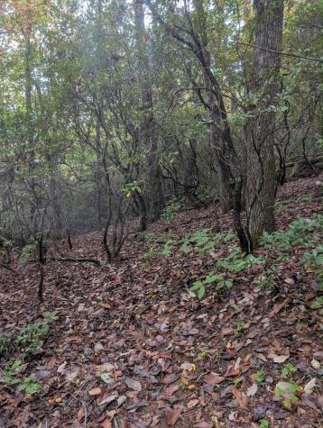 5.47 Ac Sierra Run Blairsville GA 30512