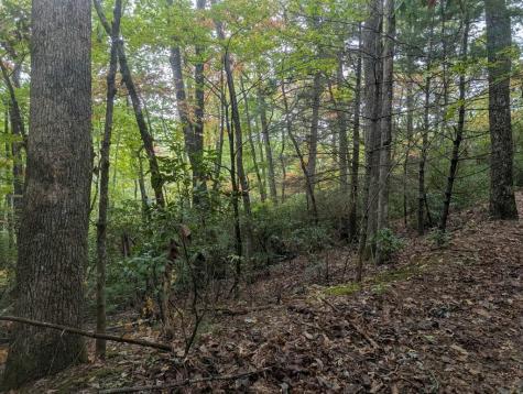 5.47 Ac Sierra Run Blairsville GA 30512