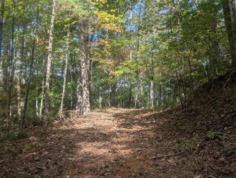5.47 Ac Sierra Run Blairsville GA 30512