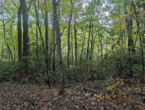 5.47 Ac Sierra Run Blairsville GA 30512