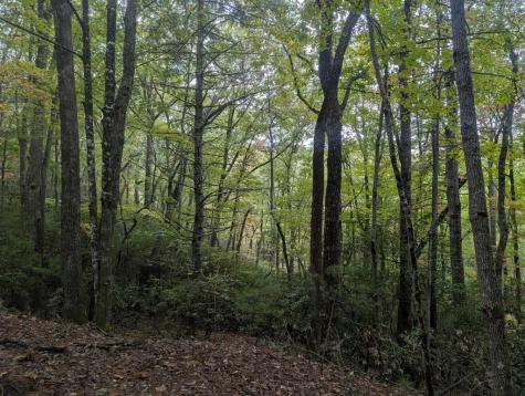 5.47 Ac Sierra Run Blairsville GA 30512