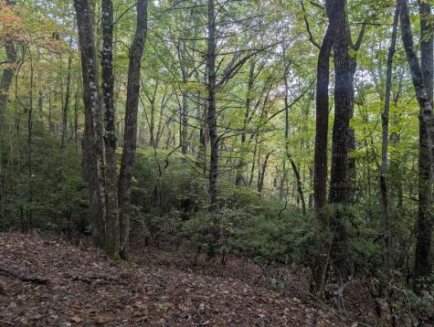 5.47 Ac Sierra Run Blairsville GA 30512