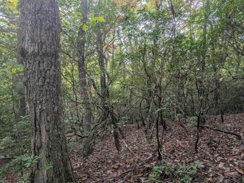 5.47 Ac Sierra Run Blairsville GA 30512