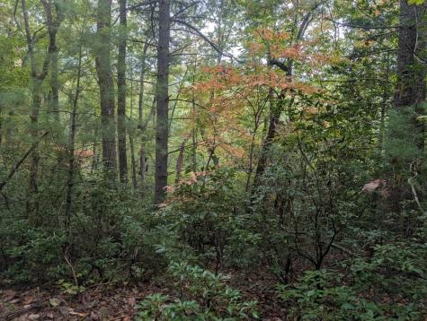 5.47 Ac Sierra Run Blairsville GA 30512