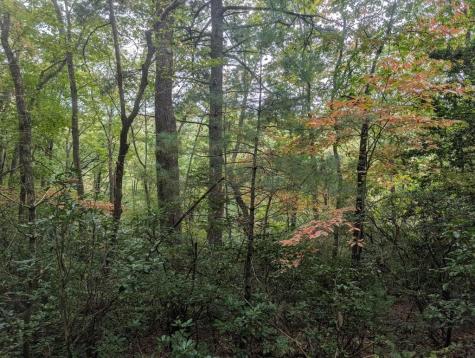 5.47 Ac Sierra Run Blairsville GA 30512