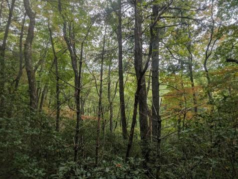 5.47 Ac Sierra Run Blairsville GA 30512