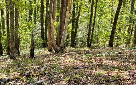 Lot 1c Lakewood Hills Hayesville NC 28904