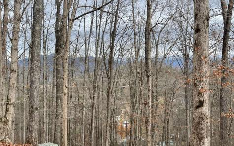 Lot 1c Lakewood Hills Hayesville NC 28904