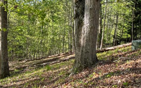 Lot 1c Lakewood Hills Hayesville NC 28904