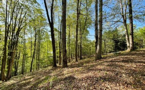 Lot 1c Lakewood Hills Hayesville NC 28904