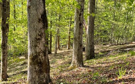 Lot 1c Lakewood Hills Hayesville NC 28904