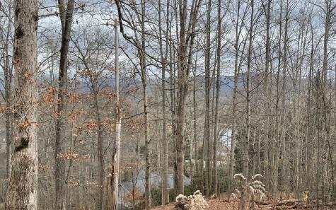 Lot 1c Lakewood Hills Hayesville NC 28904