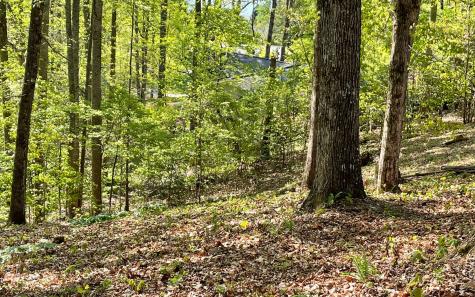 Lot 1c Lakewood Hills Hayesville NC 28904