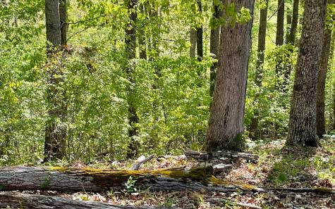 Lot 1c Lakewood Hills Hayesville NC 28904