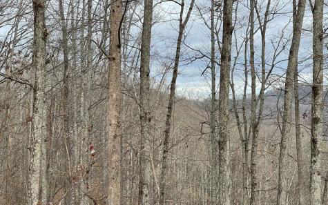 Lot 1c Lakewood Hills Hayesville NC 28904