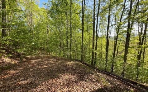 Lot 1c Lakewood Hills Hayesville NC 28904