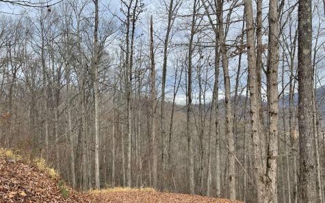 Lot 1c Lakewood Hills Hayesville NC 28904