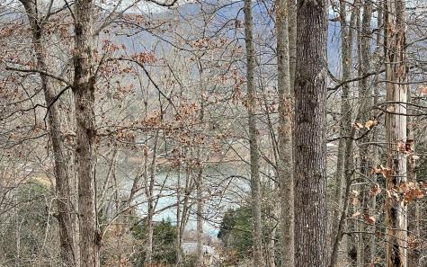 Lot 1c Lakewood Hills Hayesville NC 28904