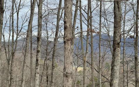 Lot 1c Lakewood Hills Hayesville NC 28904