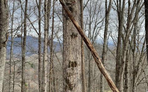 Lot 1c Lakewood Hills Hayesville NC 28904